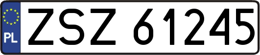 ZSZ61245