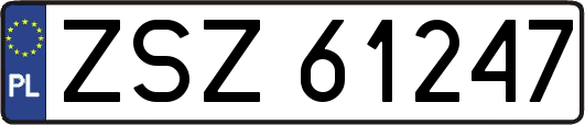 ZSZ61247