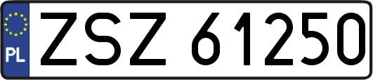 ZSZ61250