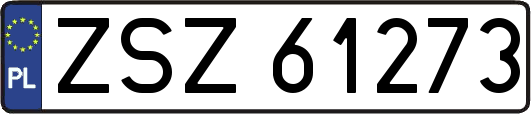 ZSZ61273