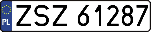 ZSZ61287