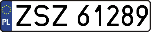ZSZ61289
