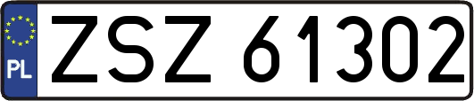 ZSZ61302