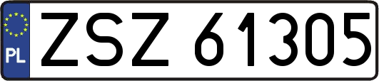 ZSZ61305