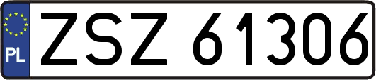 ZSZ61306