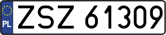 ZSZ61309