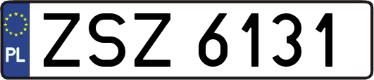 ZSZ6131