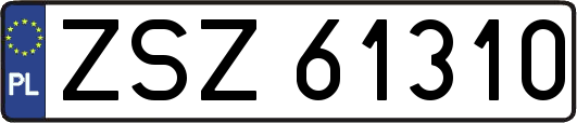 ZSZ61310