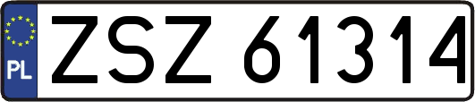 ZSZ61314