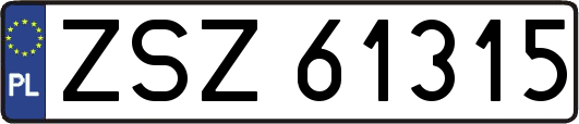 ZSZ61315