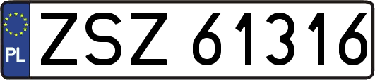 ZSZ61316