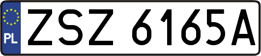 ZSZ6165A