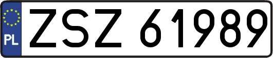 ZSZ61989