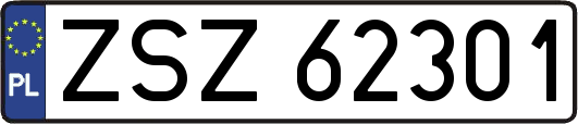 ZSZ62301