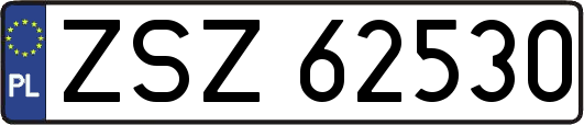 ZSZ62530