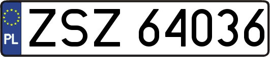 ZSZ64036