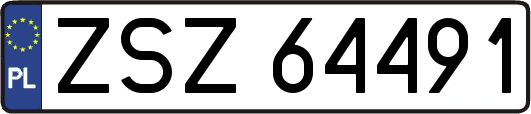 ZSZ64491