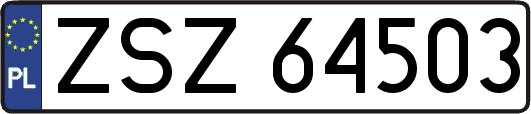 ZSZ64503