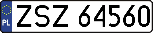 ZSZ64560