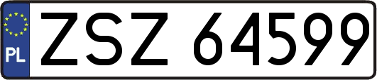 ZSZ64599