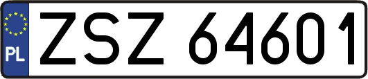 ZSZ64601