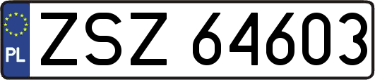 ZSZ64603
