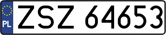 ZSZ64653