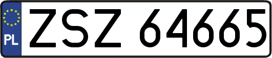 ZSZ64665