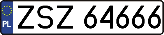 ZSZ64666