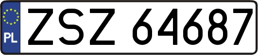 ZSZ64687