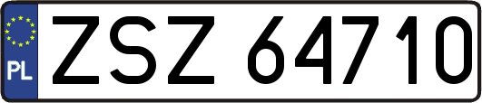ZSZ64710