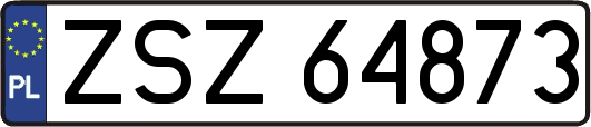 ZSZ64873