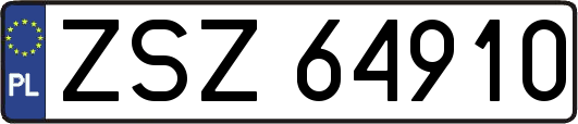 ZSZ64910