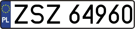 ZSZ64960
