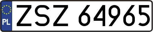 ZSZ64965