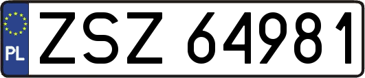 ZSZ64981