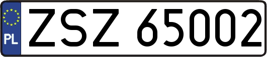 ZSZ65002