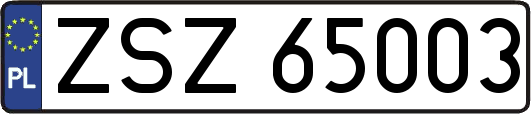 ZSZ65003