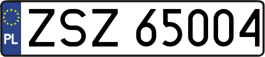 ZSZ65004