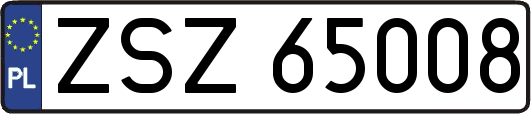 ZSZ65008