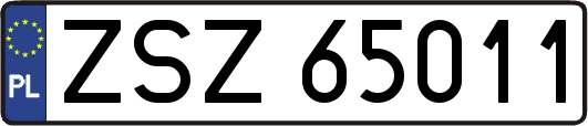 ZSZ65011