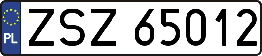 ZSZ65012