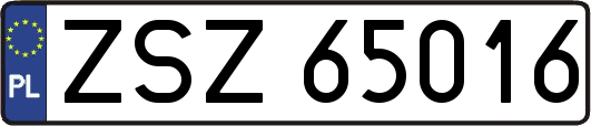 ZSZ65016