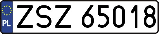 ZSZ65018