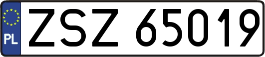 ZSZ65019