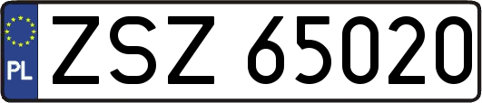 ZSZ65020
