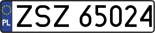 ZSZ65024