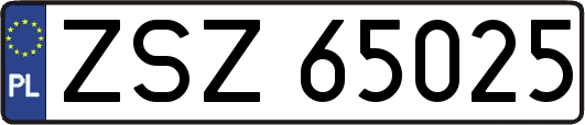 ZSZ65025