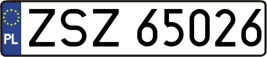 ZSZ65026