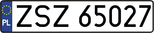 ZSZ65027